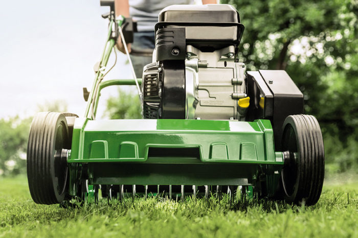 Reaktywacja trawnika po zimie. Czas na wiosenne porządki w ogrodzie