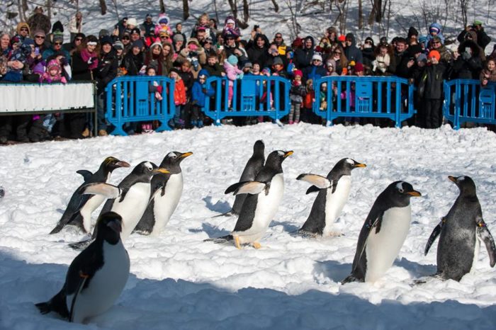 Zoo z Pittsburgha wyposażone w monitoring temperatury polskiej firmy
