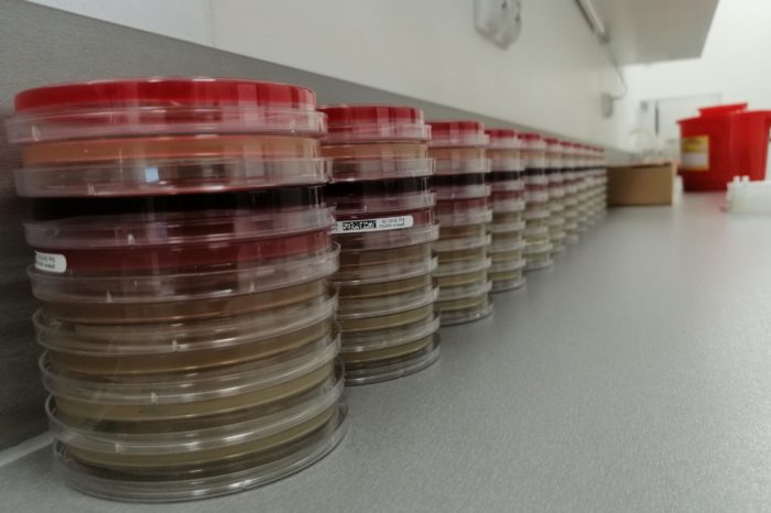 Jakość badań pod ścisłą kontrolą